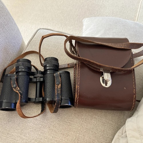 Binocolo vintage carl - vintage,